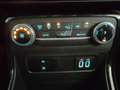 Ford EcoSport 1.0 ecoboost Titanium s&s 125cv my20.25 Bianco - thumbnail 14