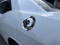 Dodge Challenger R/T 5.7 HEMI V8 Weiß - thumbnail 19
