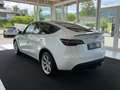 Tesla Model Y Long Range AWD 75kWh Weiß - thumbnail 7