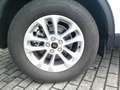 Ford Kuga Titanium Weiß - thumbnail 9