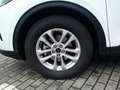 Ford Kuga Titanium Weiß - thumbnail 7