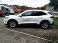 Ford Kuga Titanium Weiß - thumbnail 6