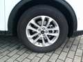 Ford Kuga Titanium Weiß - thumbnail 10