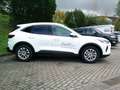 Ford Kuga Titanium Weiß - thumbnail 3