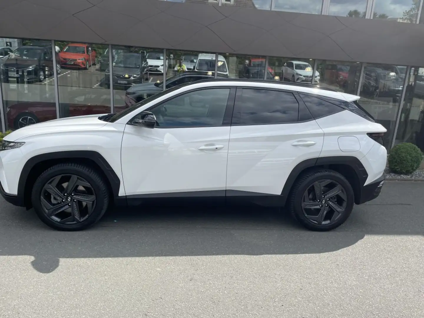 Hyundai TUCSON 1.6 T-GDi Plug-in-Hybrid 4WD Blackline Wit - 2