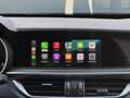 Alfa Romeo Stelvio 2.2 T Diesel Ti Q4 210CV TETTO CAM PELLE Grigio - thumbnail 6