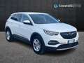 Opel Grandland 1.5 Ecotec Business Bianco - thumbnail 1
