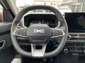 Dacia Spring EXTREME ELECTRIC 65 CCS+PDC+NAVI+RADIO+ZV Weiß - thumbnail 15