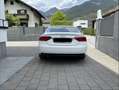 Audi A5 2.0 TDI (105kW) Weiß - thumbnail 5