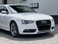 Audi A5 2.0 TDI (105kW) Weiß - thumbnail 1