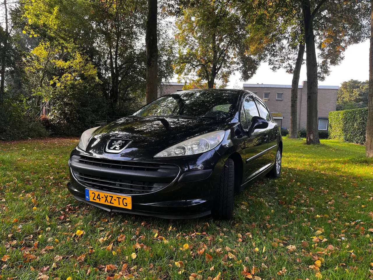 Peugeot 207