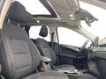 Ford Kuga 2,5 Duratec FHEV AWD Titanium Aut. Grau - thumbnail 15