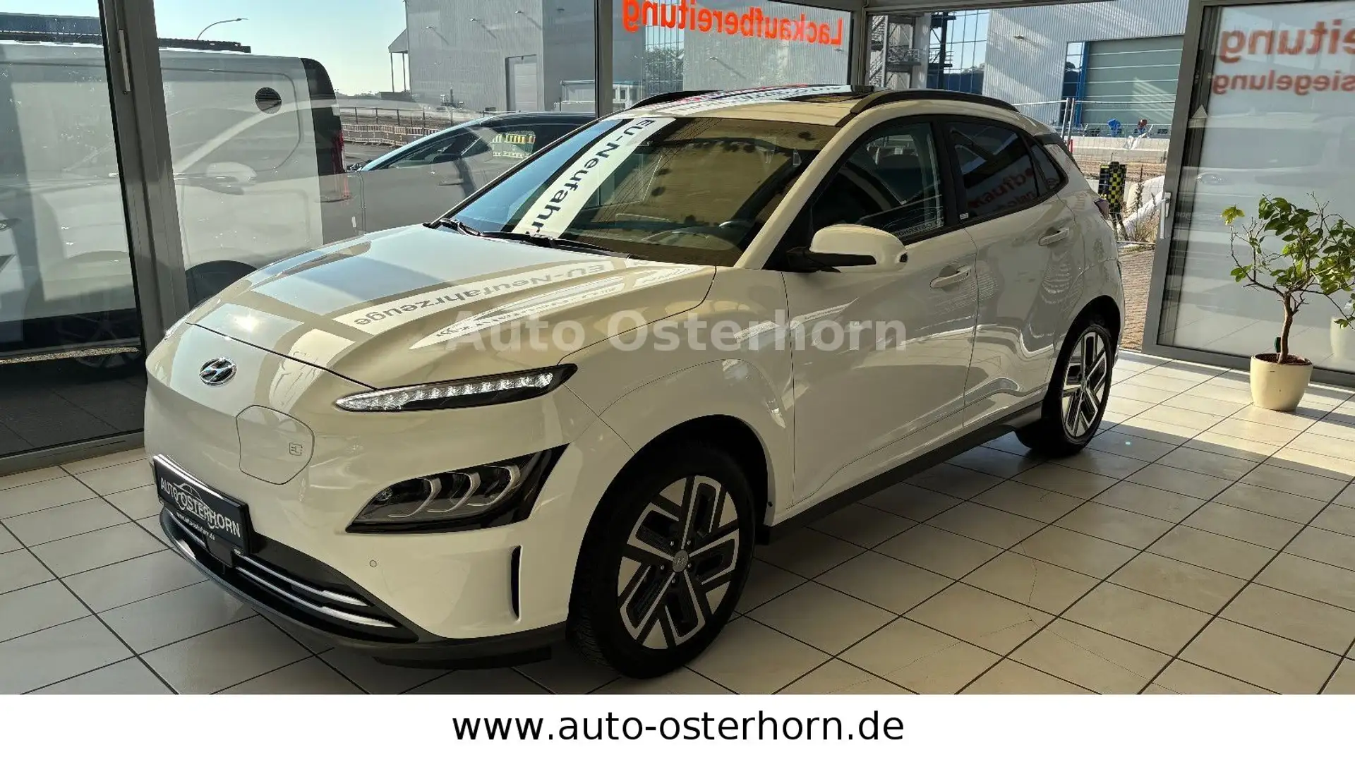 Hyundai KONA Kona Trend Elektro / Glas Schiebe Dach elektr. Weiß - 1