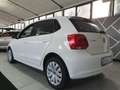 Volkswagen Polo Polo V 5p 1.2 tdi Comfortline - thumbnail 5