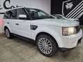Land Rover Range Rover Sport 3.0TDV6 SE Aut. Alb - thumbnail 3