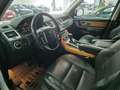 Land Rover Range Rover Sport 3.0TDV6 SE Aut. Alb - thumbnail 6