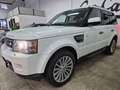 Land Rover Range Rover Sport 3.0TDV6 SE Aut. Alb - thumbnail 2