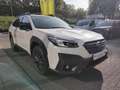 Subaru OUTBACK Outback 2.5i Lineartronic Exclusive Cross White - thumbnail 3