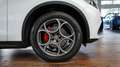 Alfa Romeo Stelvio 2.0 T AWD Super veloce | 280 pk | Schakel Flippers Blanc - thumbnail 14