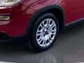 Fiat Panda 4x2 FireFly Hybrid 70 Rot - thumbnail 8