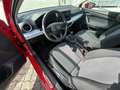 SEAT Ibiza 1,0 Reference Rot - thumbnail 5