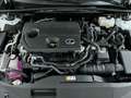 Lexus ES 300 300h Business Line Wit - thumbnail 29