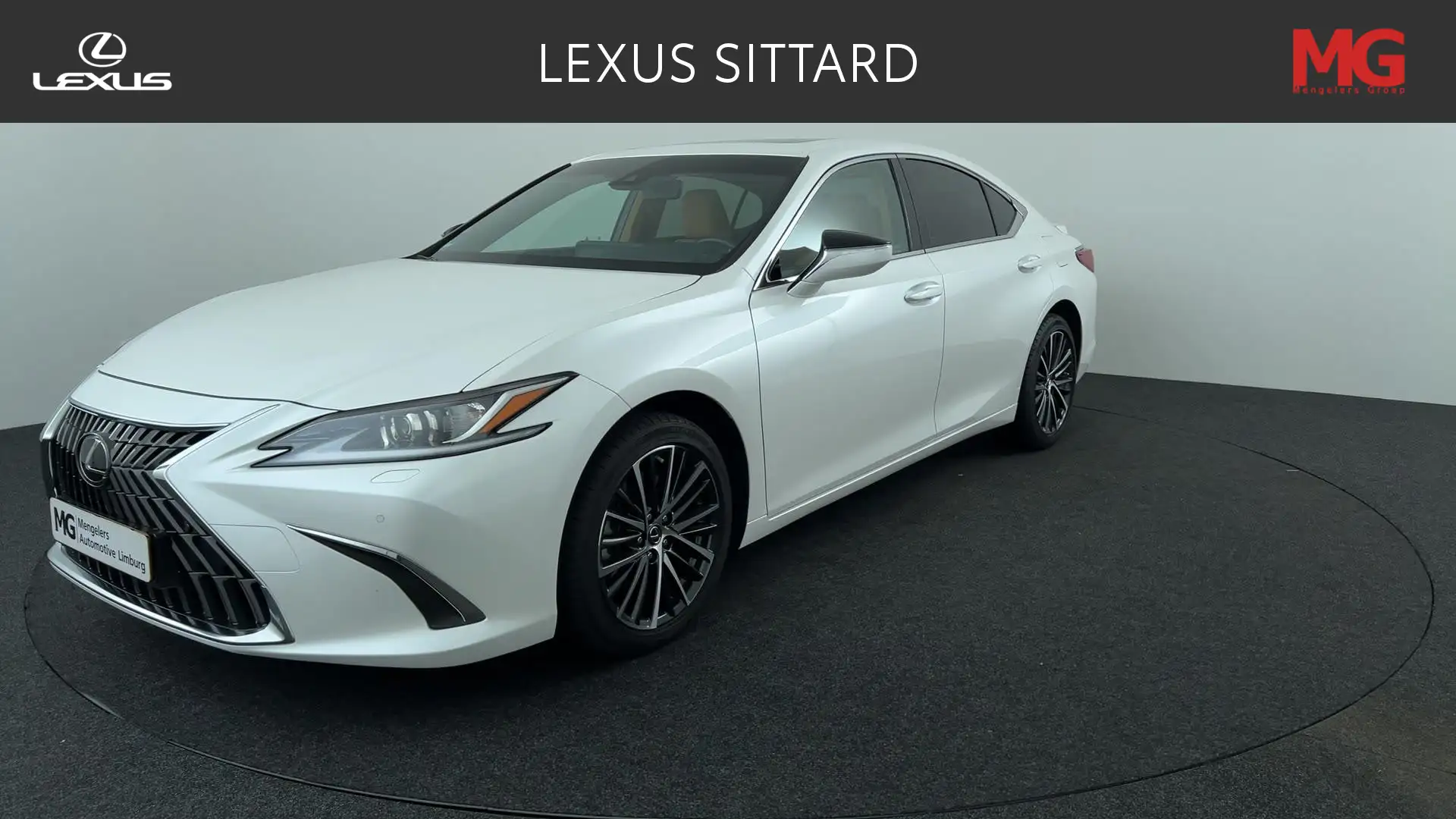 Lexus ES 300 300h Business Line Wit - 1