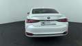 Lexus ES 300 300h Business Line Wit - thumbnail 4