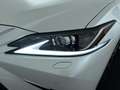 Lexus ES 300 300h Business Line Wit - thumbnail 9