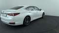 Lexus ES 300 300h Business Line Wit - thumbnail 5