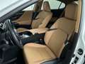 Lexus ES 300 300h Business Line Wit - thumbnail 11