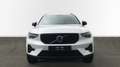 Volvo XC40 PLUS B3 MILD HYBRID GASOLINA DARK - thumbnail 8
