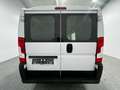 Fiat DUCATO 33 2.3L MJT 120 L2H1 |44,3t€|AC|AHK|S.HEI Blanc - thumbnail 4
