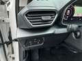 SEAT Leon 1.0TSI Style LED Navi CAM Sitzh APP DAB GRA Weiß - thumbnail 13