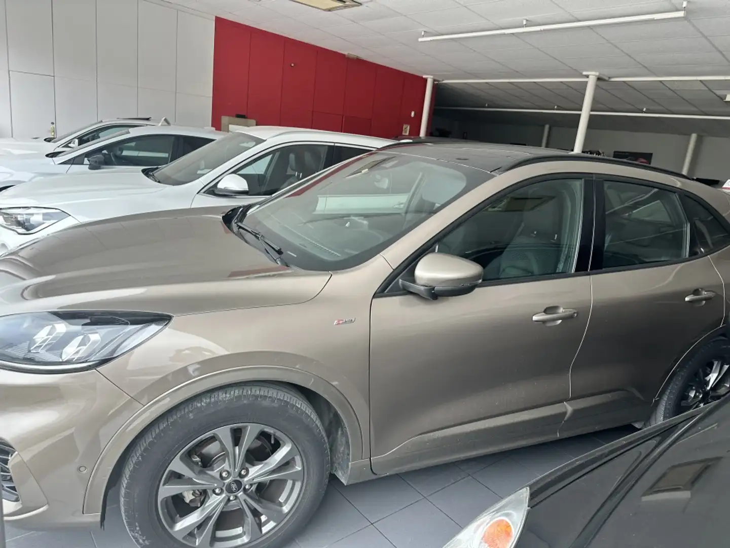 Ford Kuga 1.5 EcoBlue ST-Line X FWD 120 Aut. Bruin - 2
