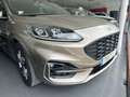 Ford Kuga 1.5 EcoBlue ST-Line X FWD 120 Aut. Bruin - thumbnail 1