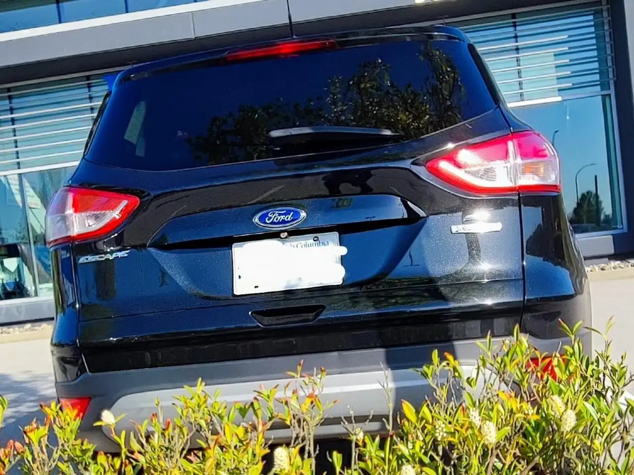 Ford Escape снимка Ford Escape