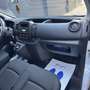 Fiat Talento FIAT TALENTO 9 POSTI 1.6 MJT TWINTURBO 125 CV Bianco - thumbnail 13