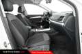 Audi Q5 Sportback 50 TFSI e quattro S tronic Business Adv Bianco - thumbnail 8