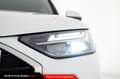 Audi Q5 Sportback 50 TFSI e quattro S tronic Business Adv Bianco - thumbnail 12