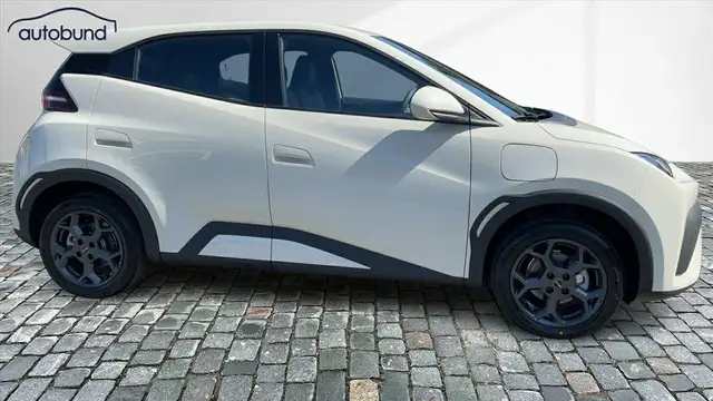 BYD Dolphin Surf Sofort Lieferbar Boost Alu Link NAV NBA PDC R