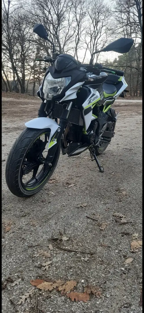 Kawasaki Z 125 Blanc - 2