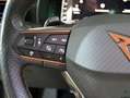 CUPRA Formentor 1.5 TSI 110kW (150 CV) DSG Gris - thumbnail 20