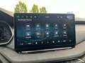 Skoda Octavia Selection TSI mHEV DSG Grau - thumbnail 14