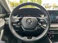 Skoda Octavia Selection TSI mHEV DSG Grau - thumbnail 9
