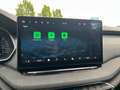 Skoda Octavia Selection TSI mHEV DSG Grau - thumbnail 13