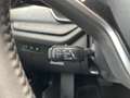 Skoda Octavia Selection TSI mHEV DSG Grau - thumbnail 11