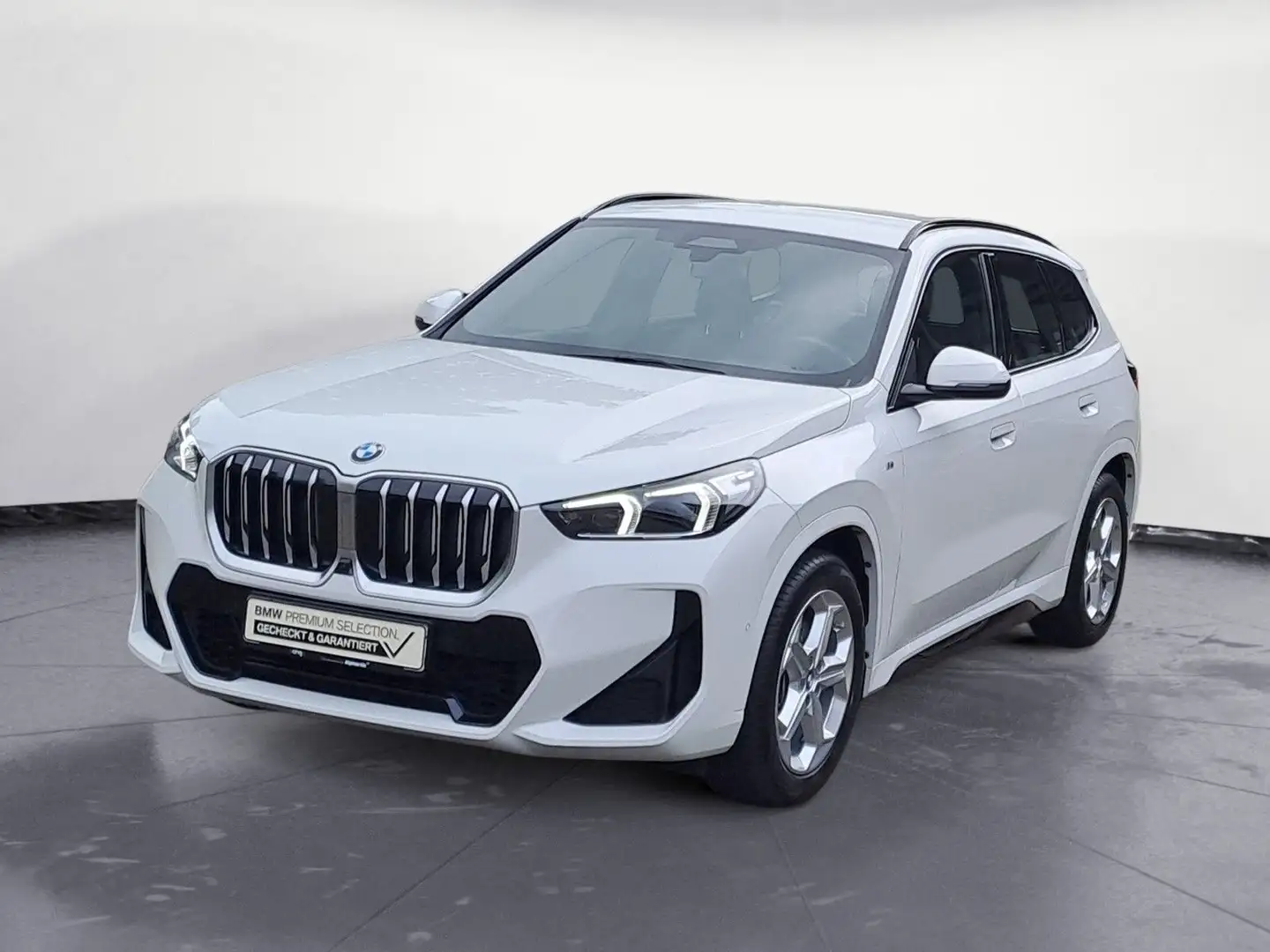 BMW X1 sDrive20i M Sportpaket Head-Up AHK Weiß - 2