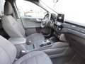 Ford Kuga 2020 2.5 full hybrid ST-Line 4X4 awd 190cv cvt Blu/Azzurro - thumbnail 11