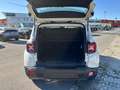 Jeep Renegade 1.0 T3 120cv Limited Bianco - thumbnail 11